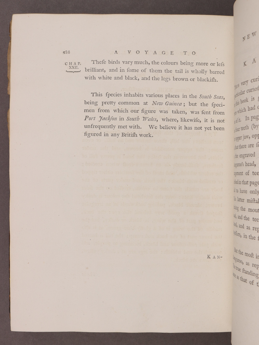 Page 288